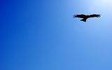 壁紙:空